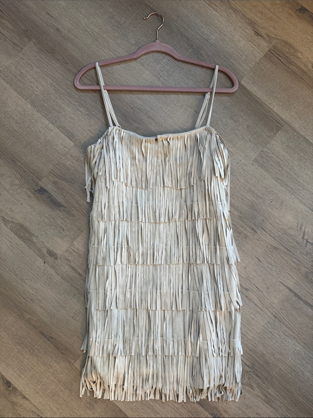 Trixxi Fringe Mini Dress